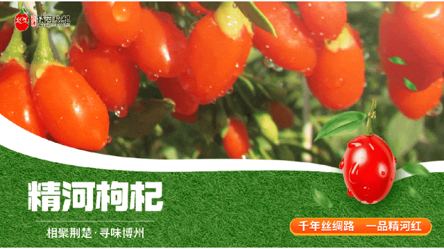 1764117356303686.gif 013.gif