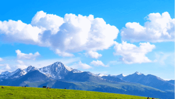 1764117482798134.png ScreenShot_2025-11-26_083705_902.png